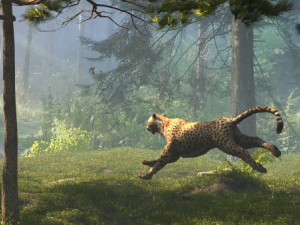 cheetah Model 3D