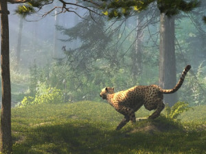 cheetah 3Dモデル