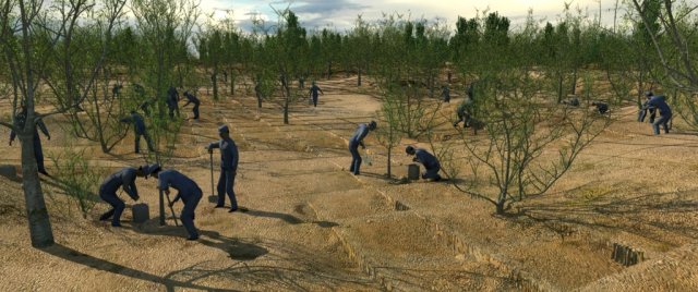 desert tree planting Modello 3D .c4d .max .obj .3ds .fbx .stl .blend 