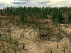 desert tree planting Modello 3D