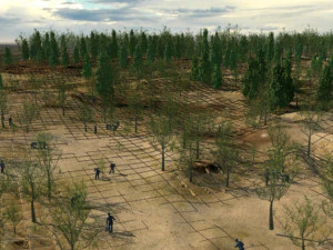 desert tree planting 3D Model