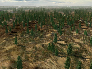 desert tree planting Modello 3D