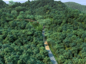 mountain forest Model 3D