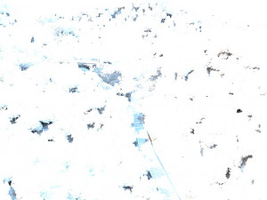 mountain forest Model 3D