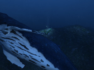 oceanic trench 3D Model