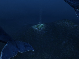oceanic trench 3D 모델