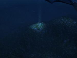 oceanic trench 3D 모델