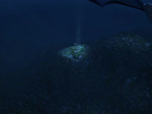 oceanic trench 3D Model