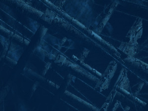 undersea shipwreck 3D Model