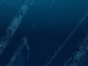 undersea shipwreck 3D Model