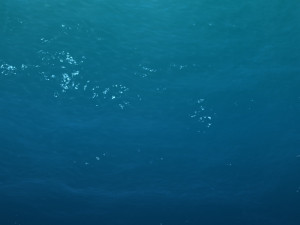 undersea shipwreck 3D Model