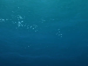 undersea shipwreck 3D Model