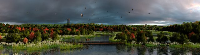 wetlands 3D Model .c4d .max .obj .3ds .fbx .stl .blend