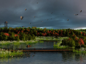 wetlands 3D मॉडल