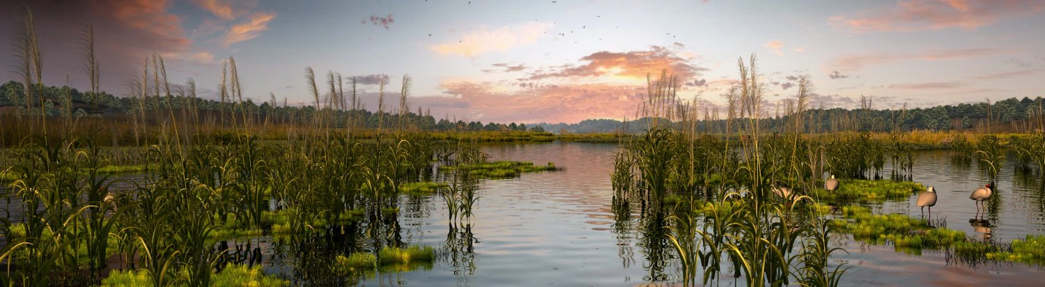 wetlands 3D Model .c4d .max .obj .3ds .fbx .stl .blend 