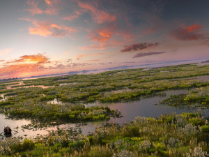 wetlands 3D Model