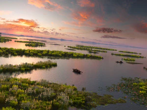 wetlands 3D Model