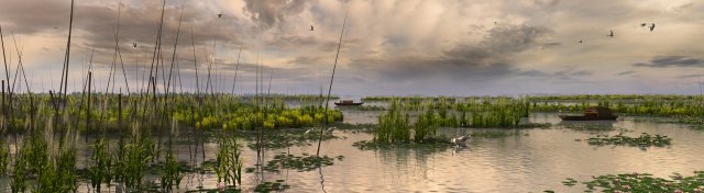 wetlands 3D Model .c4d .max .obj .3ds .fbx .stl .blend 