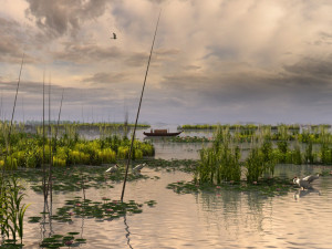wetlands 3D Model