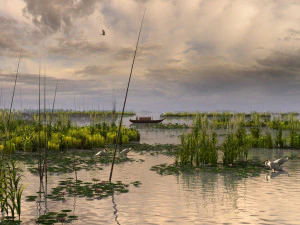 zonas h&uacute;midas Modelo 3D