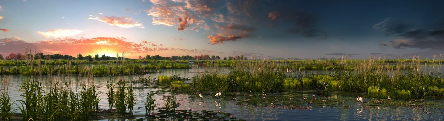 wetlands 3D Model .c4d .max .obj .3ds .fbx .stl .blend