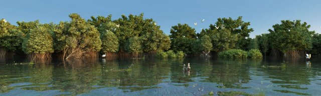 wetlands Modello 3D .c4d .max .obj .3ds .fbx .stl .blend 