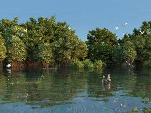 wetlands 3D 模型