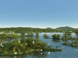 wetlands 3D Model