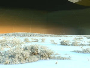 wetlands 3D Model