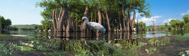 wetlands Modello 3D .c4d .max .obj .3ds .fbx .stl .blend 