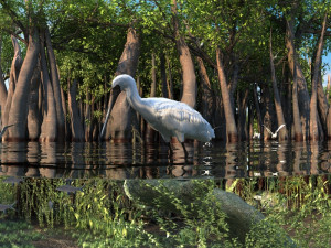 wetlands 3D Model