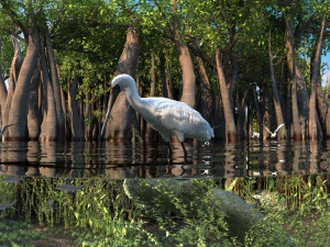 zonas h&uacute;midas Modelo 3D