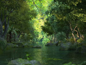 wetlands Modelo 3D