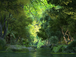 wetlands 3D Model