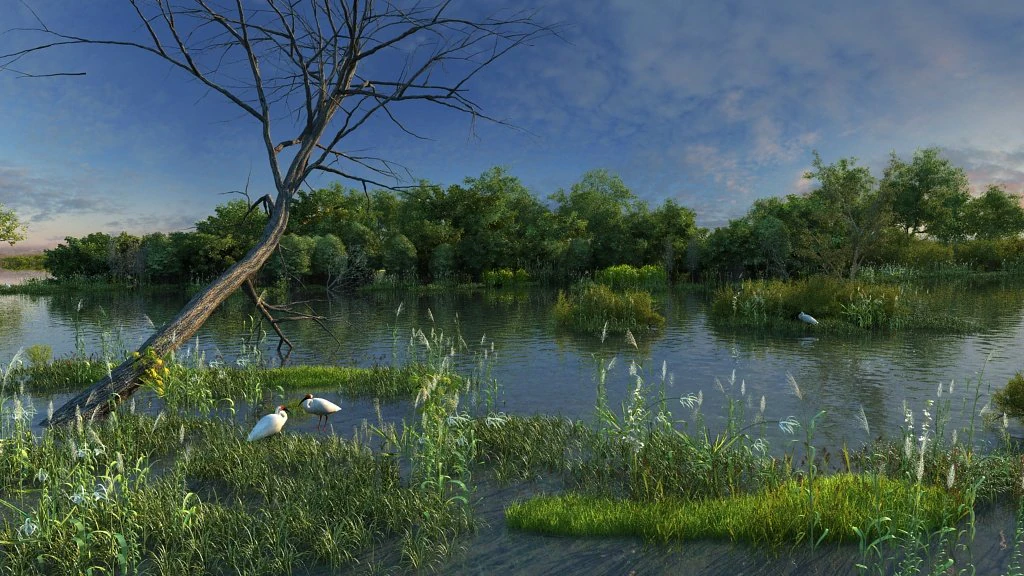 wetlands 3D Model .c4d .max .obj .3ds .fbx .stl .blend 