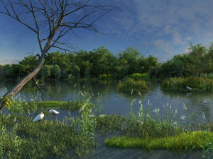 wetlands Model 3D