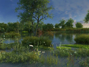 wetlands 3D Model