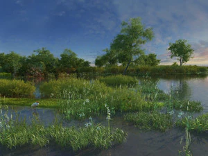 wetlands 3D Model