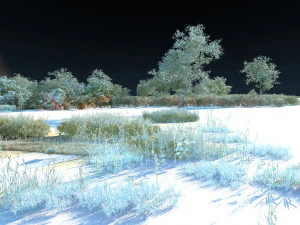 wetlands 3D Model