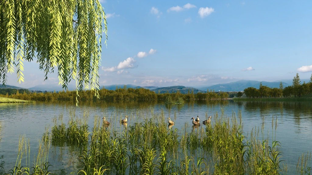 wetlands 3D Model .c4d .max .obj .3ds .fbx .stl .blend 