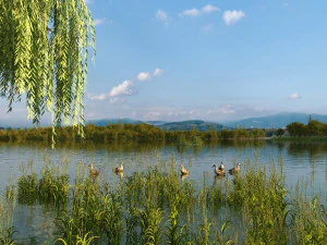 zonas h&uacute;midas Modelo 3D