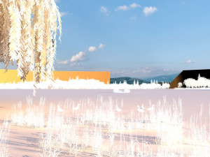 wetlands 3D मॉडल