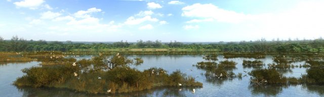 wetlands 3D Model .c4d .max .obj .3ds .fbx .stl .blend