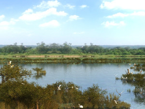 wetlands 3D Model