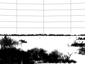 wetlands 3D Model