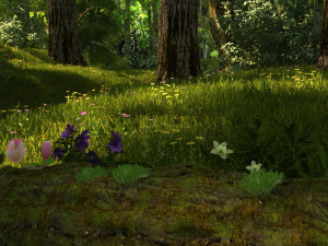 forest 3Dモデル