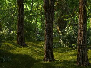 forest 3D Model