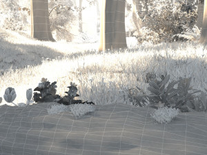 forest 3D Model