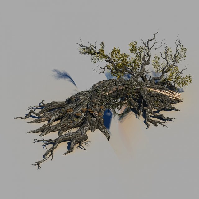 ancient tree 3D मॉडल .c4d .max .obj .3ds .fbx .stl .blend