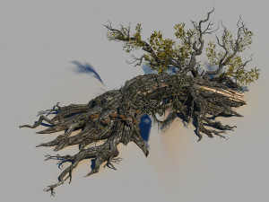 ancient tree Modelo 3D